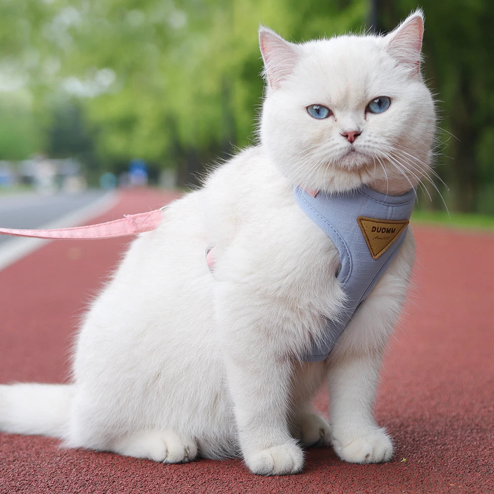 Breathable Nylon Mesh Cat Harness Leash Set - Katokitten