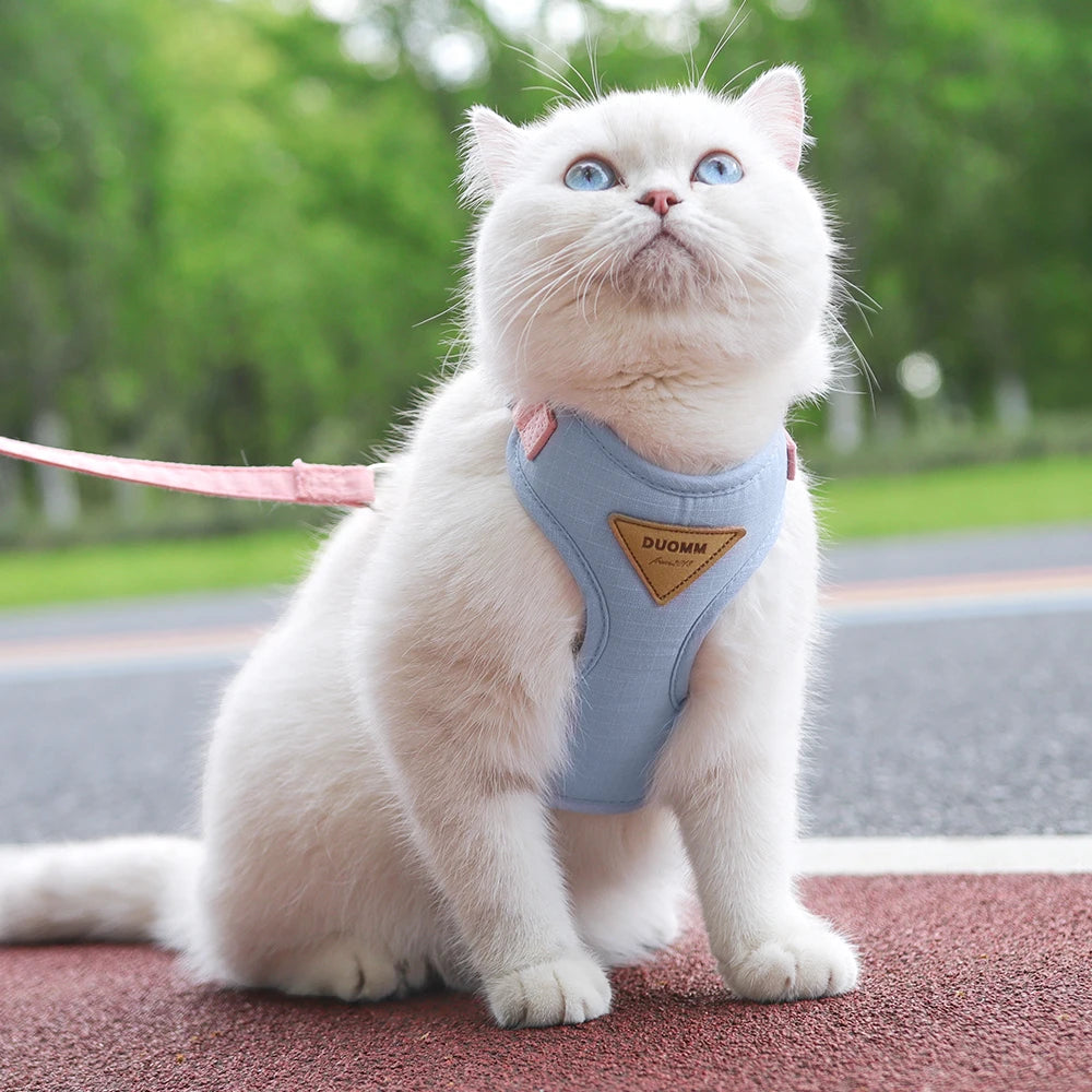 Breathable Nylon Mesh Cat Harness Leash Set - Katokitten