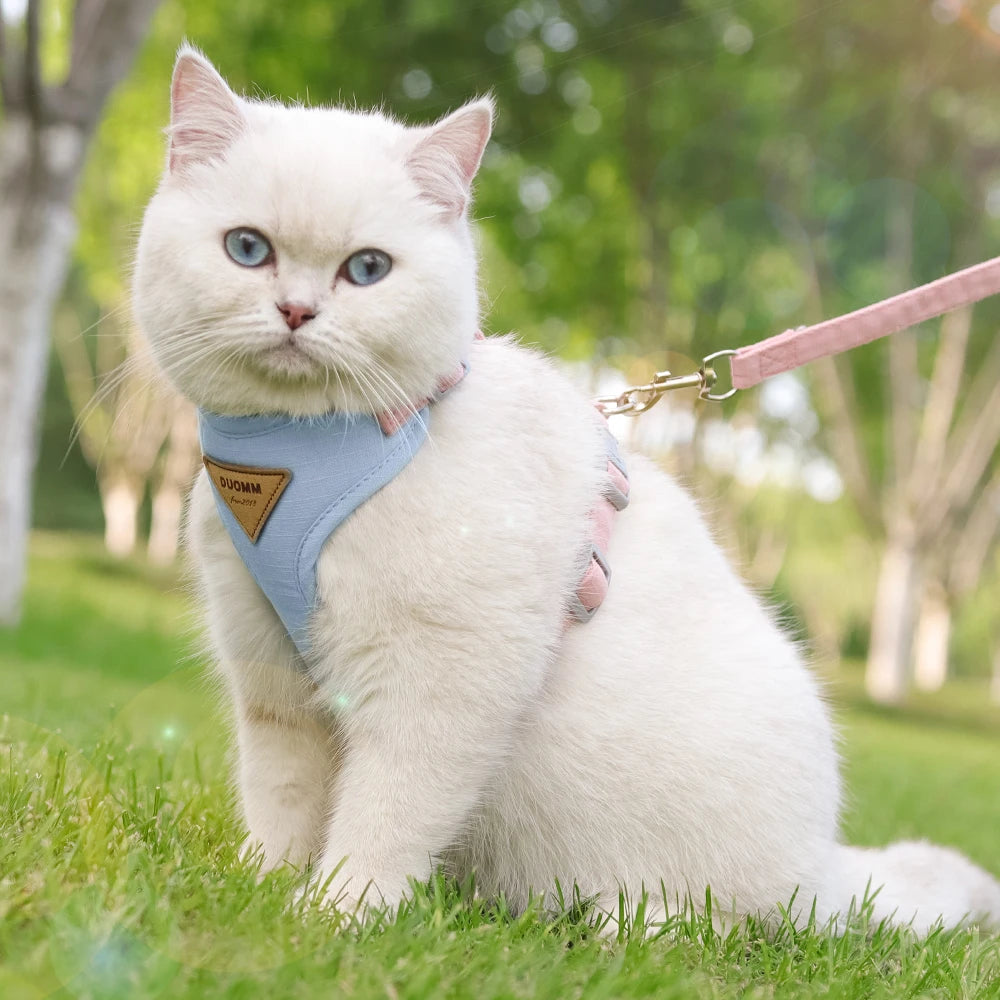 Breathable Nylon Mesh Cat Harness Leash Set - Katokitten
