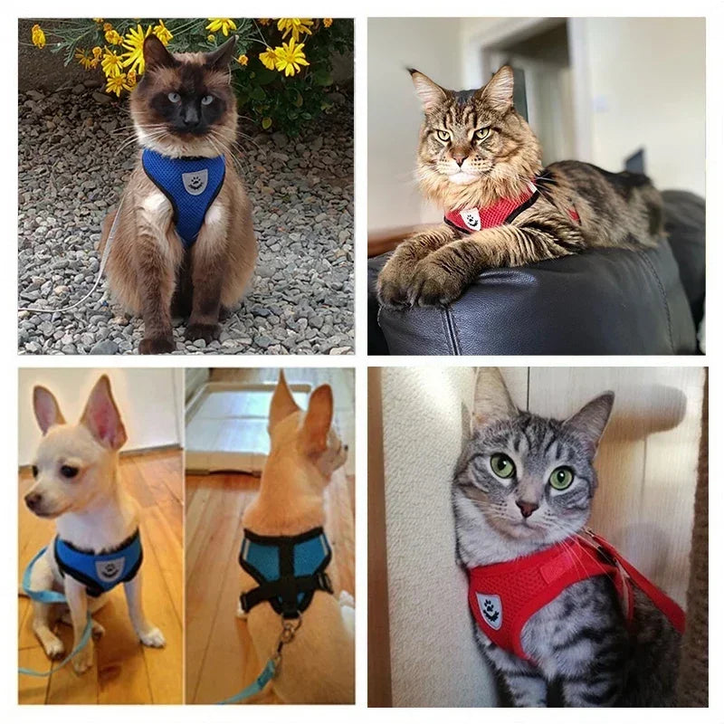 Adjustable Pet Cat Harness Rope Set - Katokitten