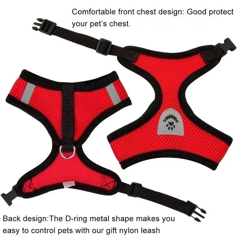 Adjustable Pet Cat Harness Rope Set - Katokitten
