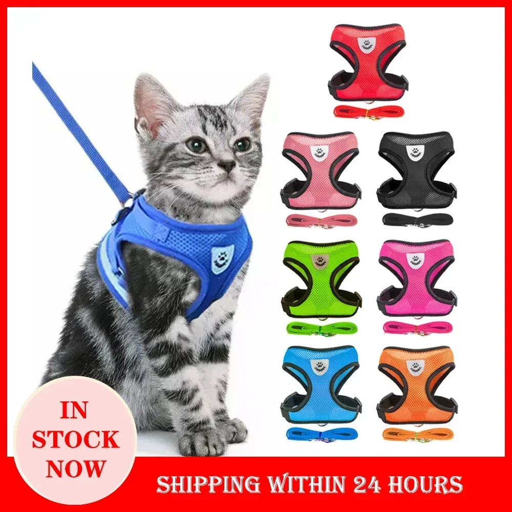 Adjustable Pet Cat Harness Rope Set - Katokitten