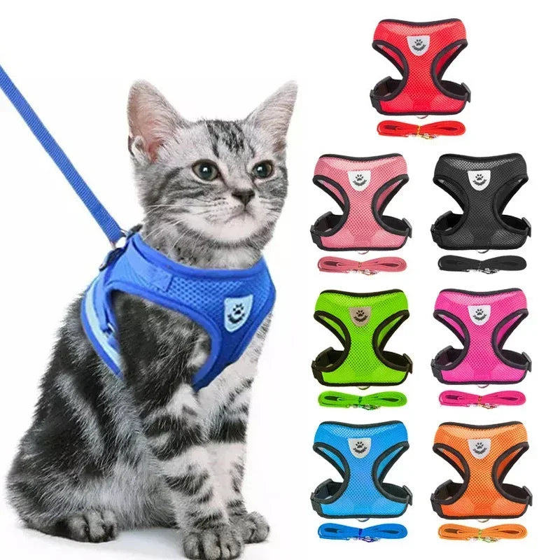 Adjustable Pet Cat Harness Rope Set - Katokitten