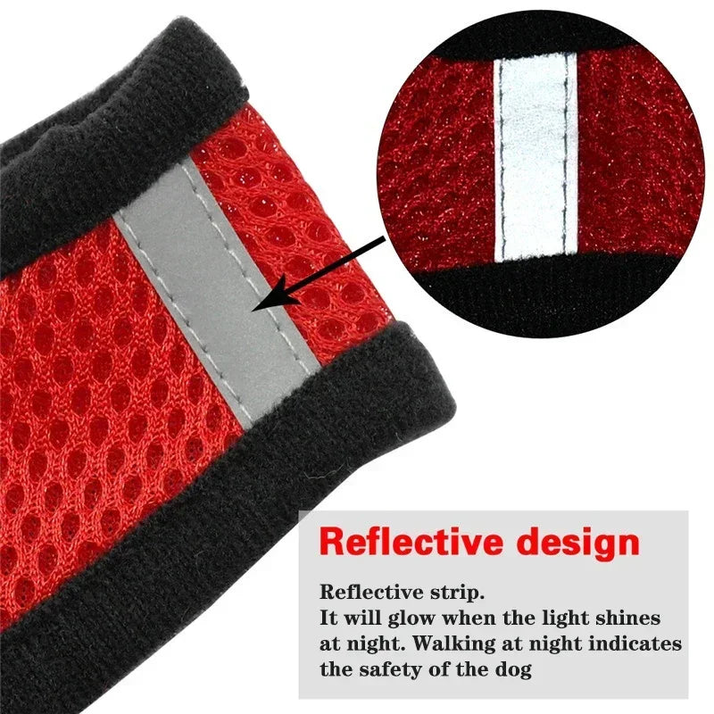 Adjustable Pet Cat Harness Rope Set - Katokitten