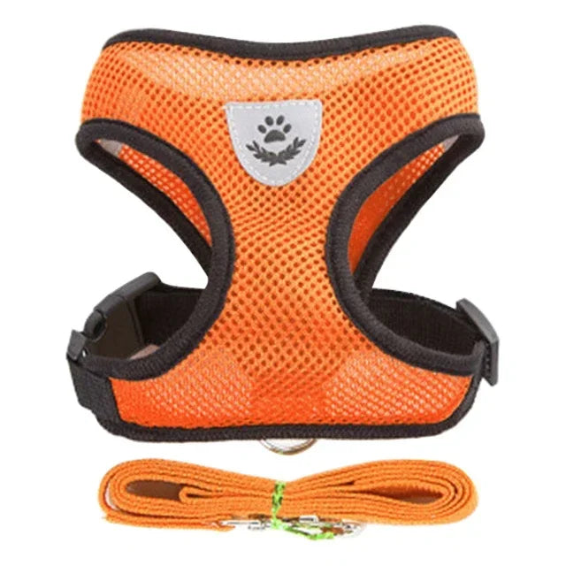 Adjustable Pet Cat Harness Rope Set - Katokitten