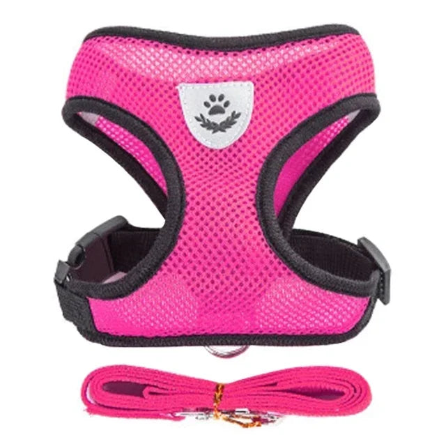 Adjustable Pet Cat Harness Rope Set - Katokitten