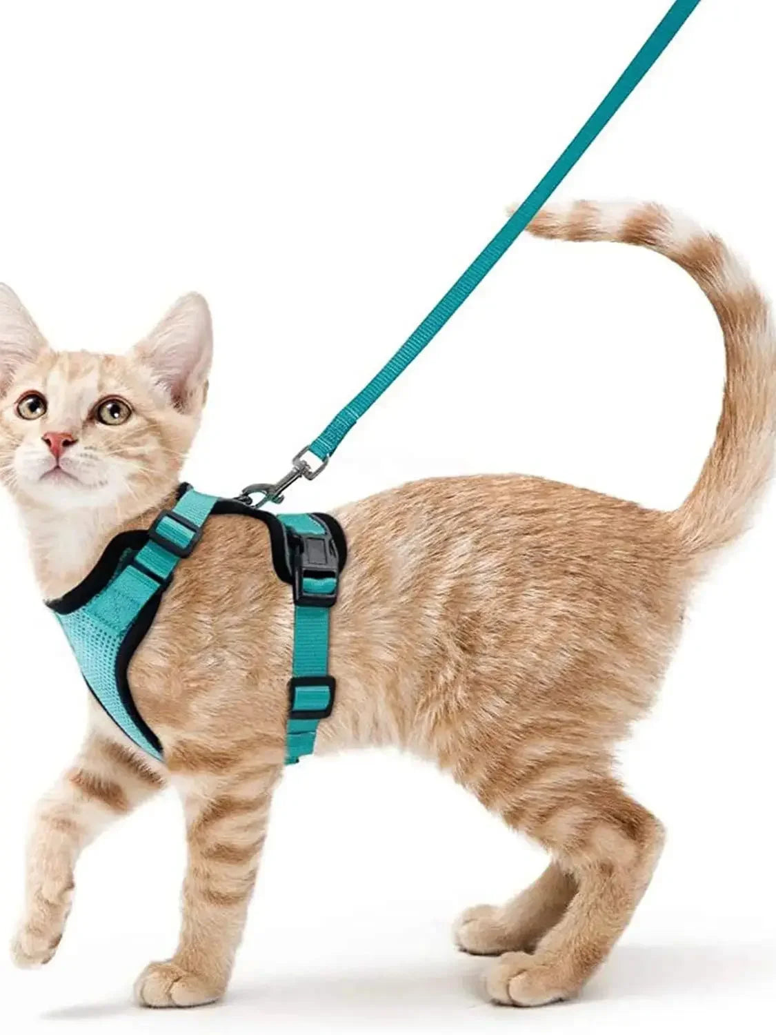 Pet Cat Harness and Leash Adjustable - Katokitten
