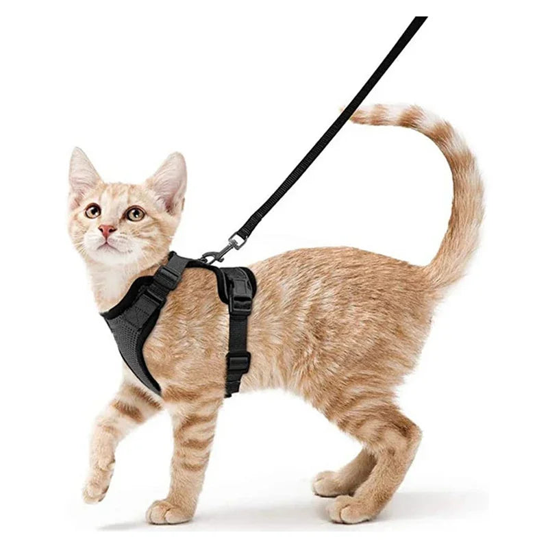 Pet Cat Harness and Leash Adjustable - Katokitten