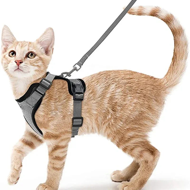Pet Cat Harness and Leash Adjustable - Katokitten