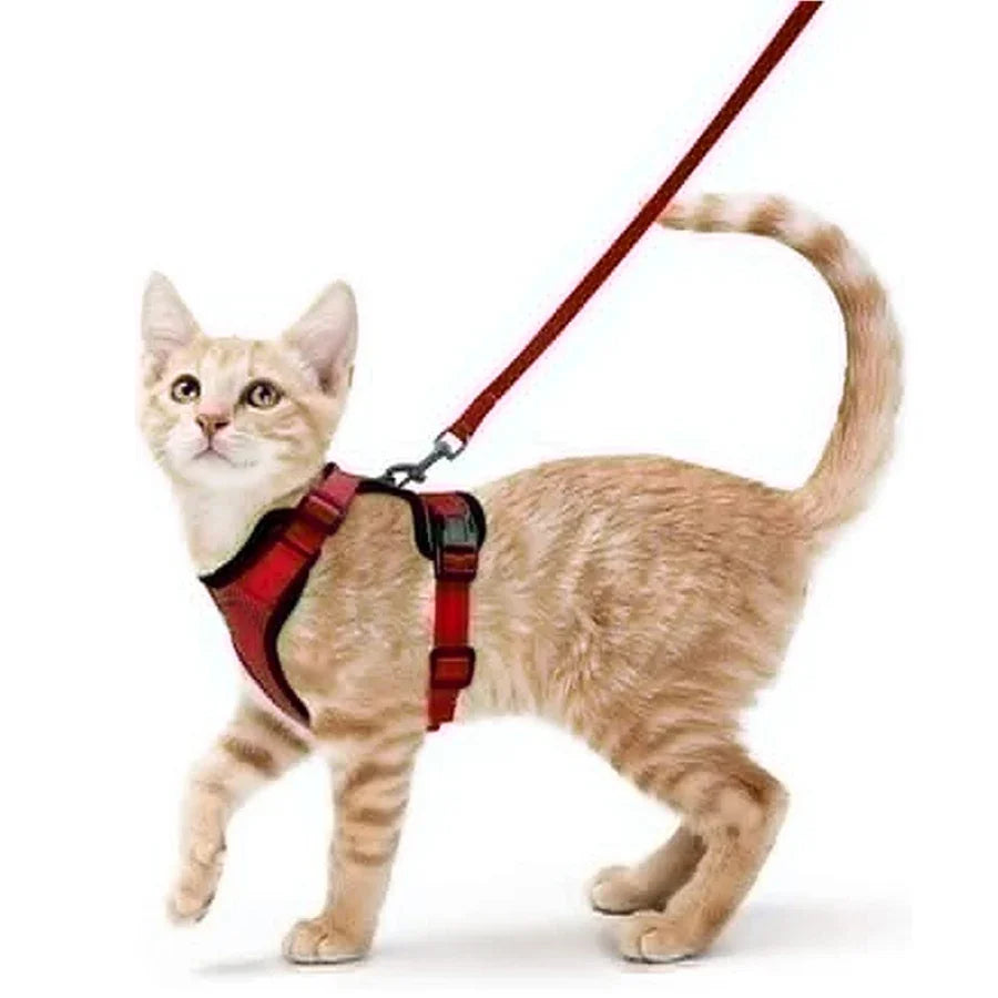 Pet Cat Harness and Leash Adjustable - Katokitten