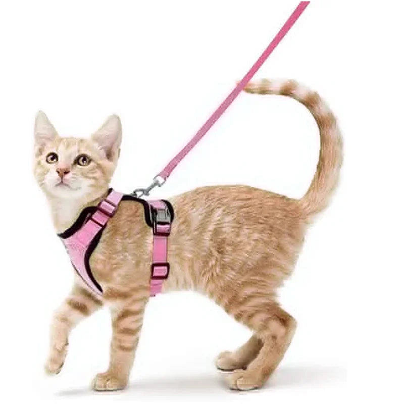 Pet Cat Harness and Leash Adjustable - Katokitten