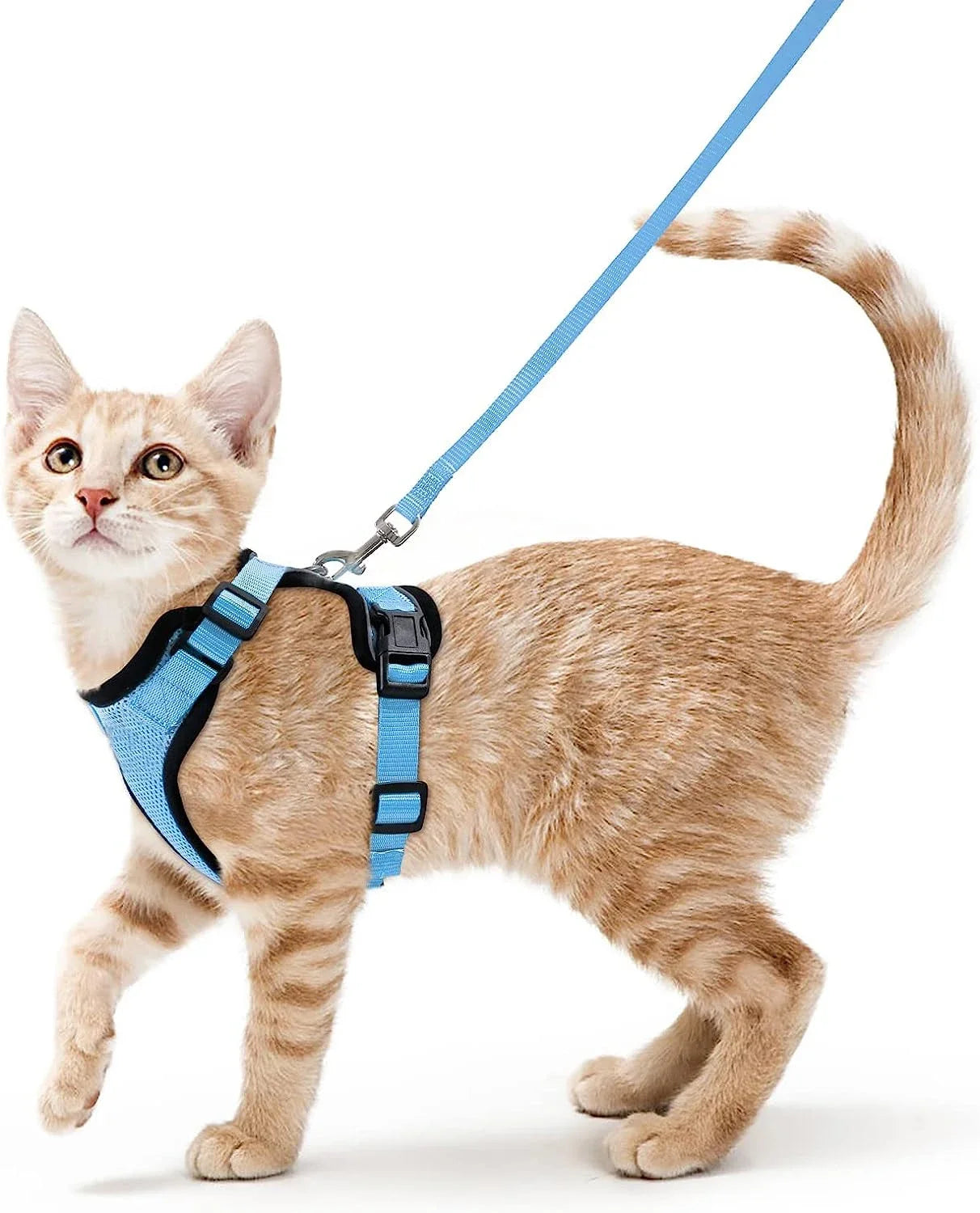 Pet Cat Harness and Leash Adjustable - Katokitten