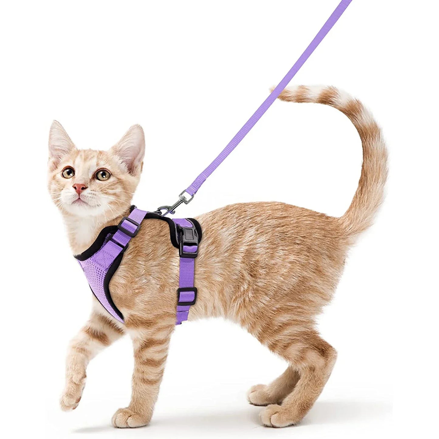 Pet Cat Harness and Leash Adjustable - Katokitten