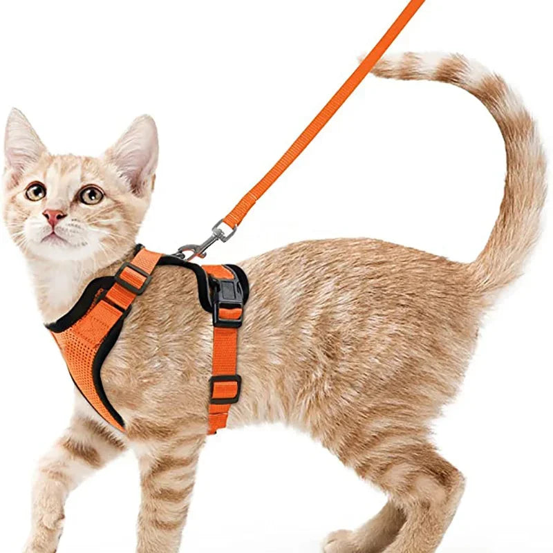 Pet Cat Harness and Leash Adjustable - Katokitten