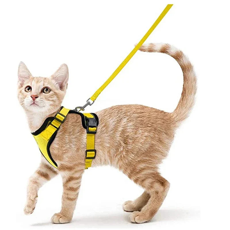 Pet Cat Harness and Leash Adjustable - Katokitten