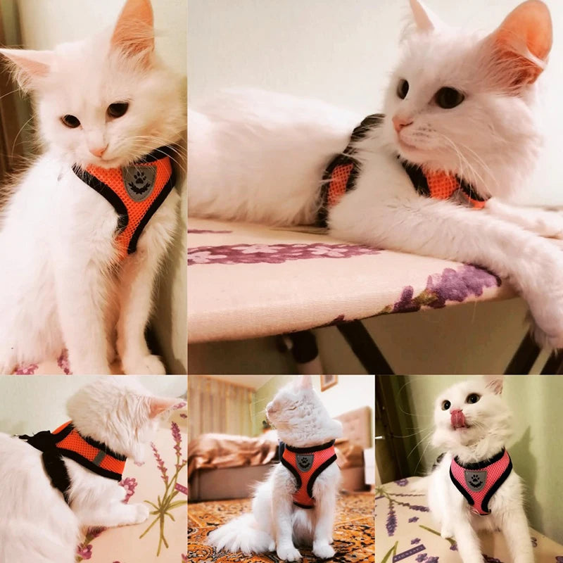 Pet Cat Harness Vest Walking Lead Leash - Katokitten