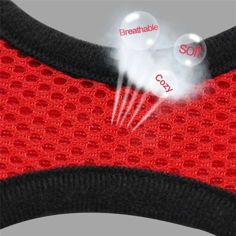 Pet Cat Harness Vest Walking Lead Leash - Katokitten