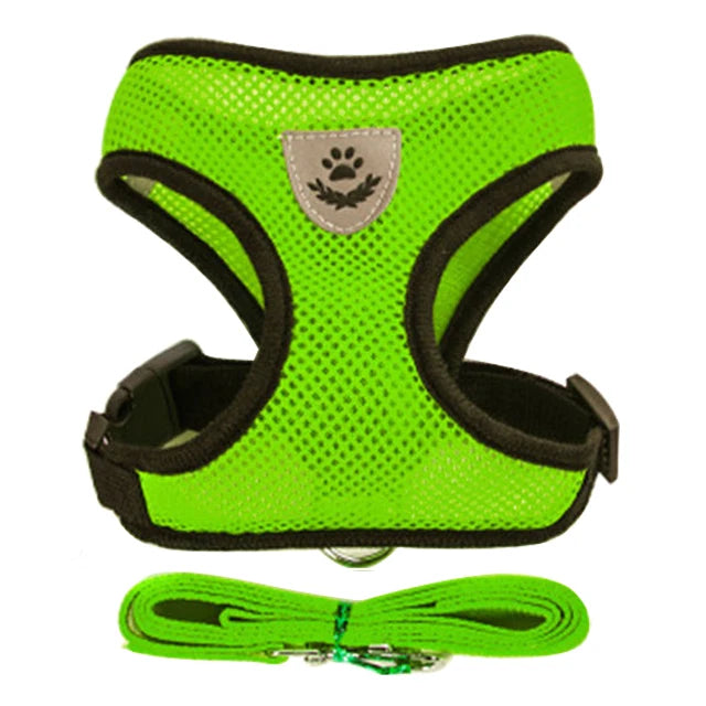 Pet Cat Harness Vest Walking Lead Leash - Katokitten