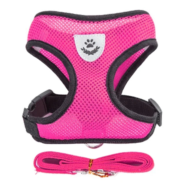 Pet Cat Harness Vest Walking Lead Leash - Katokitten