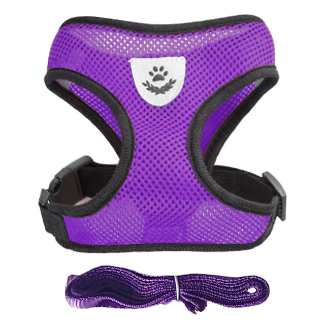 Pet Cat Harness Vest Walking Lead Leash - Katokitten