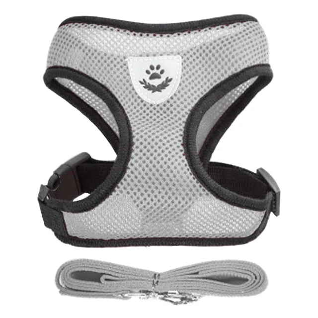 Pet Cat Harness Vest Walking Lead Leash - Katokitten