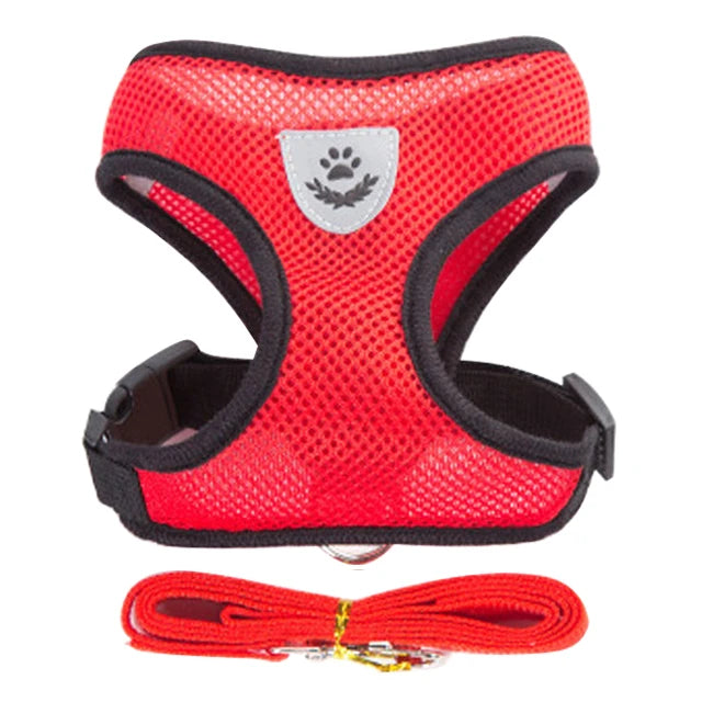 Pet Cat Harness Vest Walking Lead Leash - Katokitten