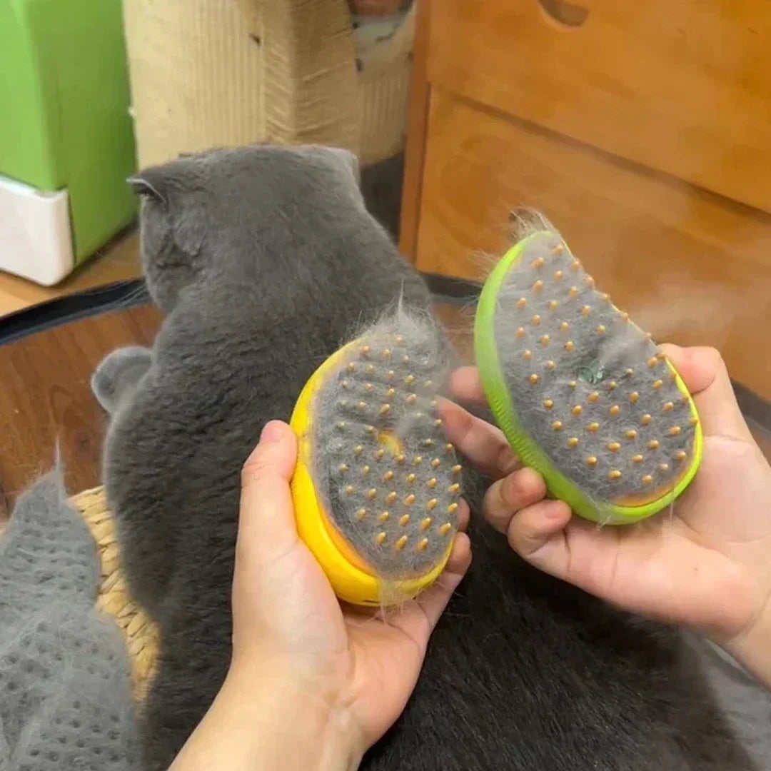 USB Rechargeable Puppy Hair Massage Comb Steam Brush - Katokitten