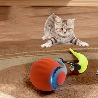 Interactive Automatic Rolling Ball Ball Toys - Katokitten