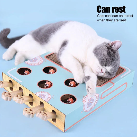 Interactive Educational 3 in 1 Funny Cat Stick With Scratcher Toy - Katokitten
