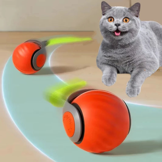Interactive Automatic Rolling Ball Ball Toys - Katokitten