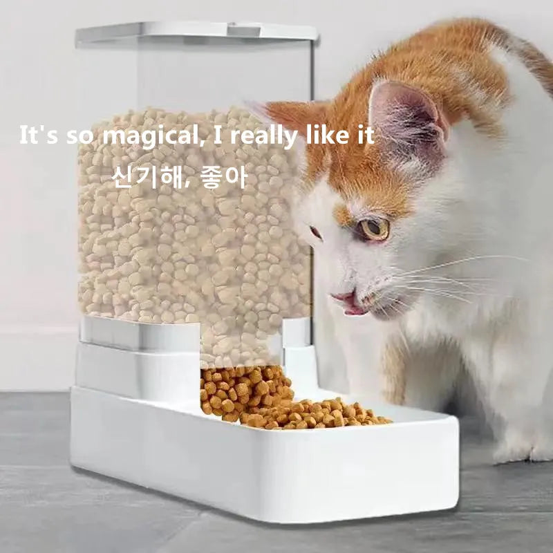 Pet Cat Feed Dispenser Bowl Automatic - Katokitten