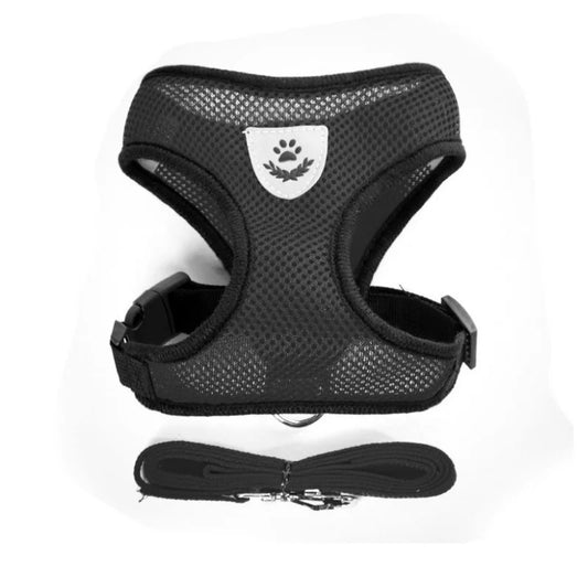 Pet Cat Harness with Lead Leash Adjustable - Katokitten