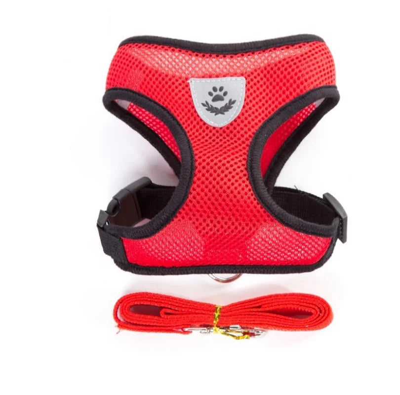 Pet Cat Harness with Lead Leash Adjustable - Katokitten