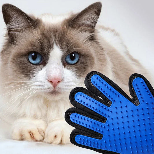 Pet Cat Silicone Gloves Hair Removal - Katokitten