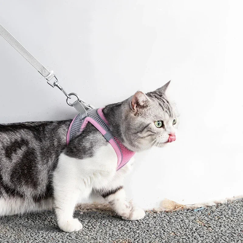 Adjustable Pet Cat Harness Leash Set - Katokitten
