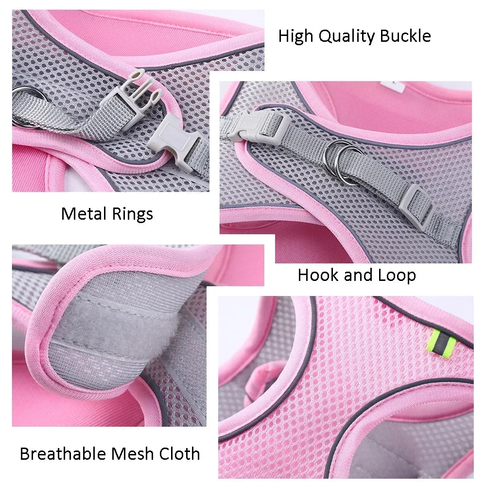 Adjustable Pet Cat Harness Leash Set - Katokitten