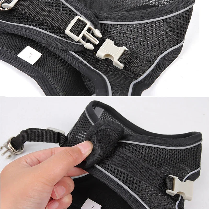 Adjustable Pet Cat Harness Leash Set - Katokitten