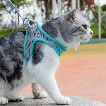 Adjustable Pet Cat Harness Leash Set - Katokitten
