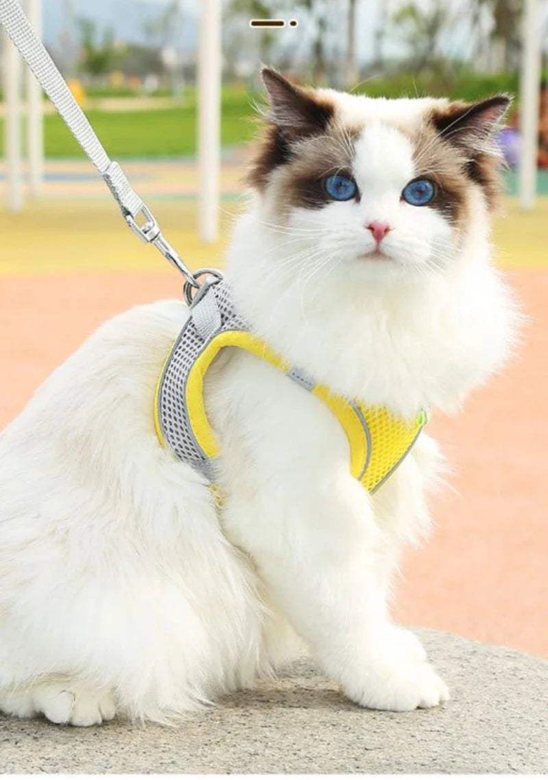 Adjustable Pet Cat Harness Leash Set - Katokitten