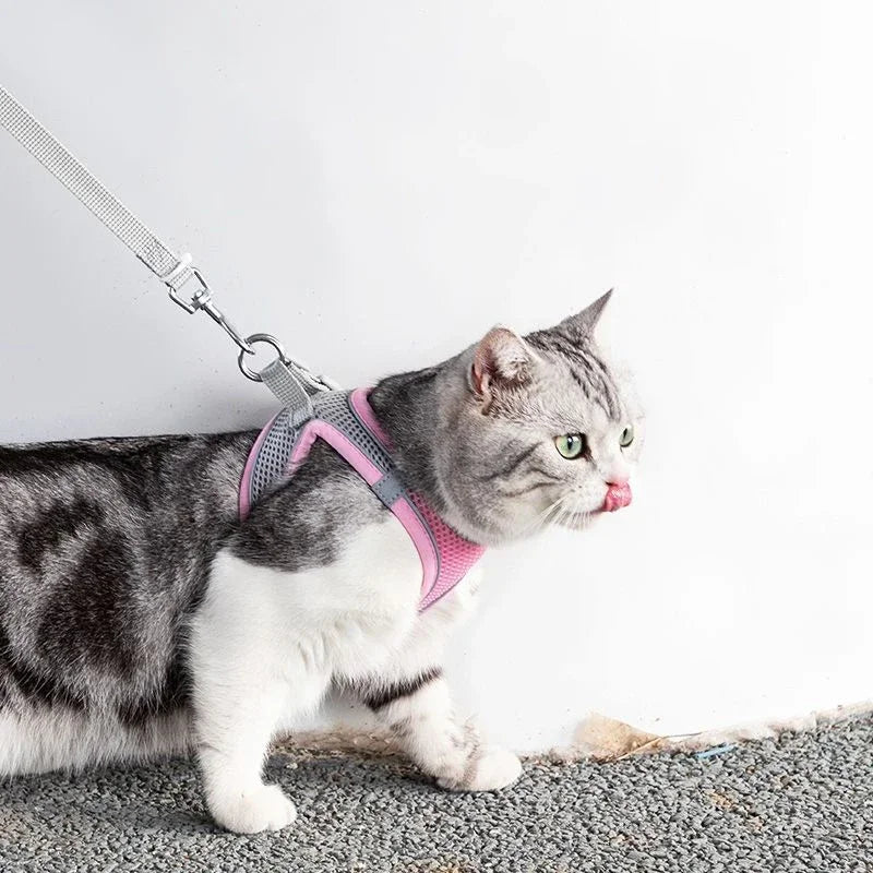 Adjustable Pet Cat Harness Leash Set - Katokitten