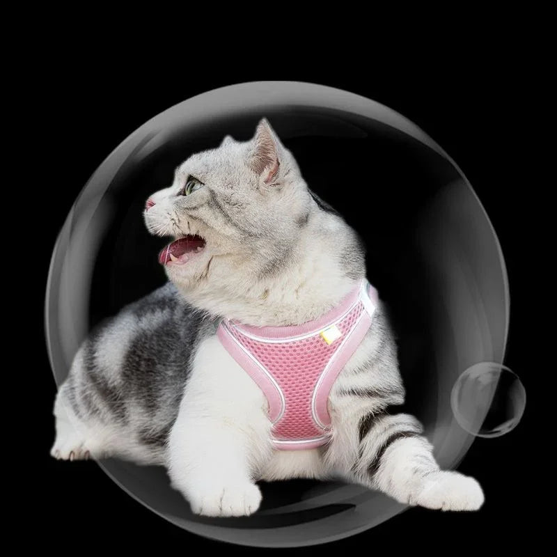 Adjustable Pet Cat Harness Leash Set - Katokitten