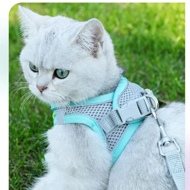 Adjustable Pet Cat Harness Leash Set - Katokitten