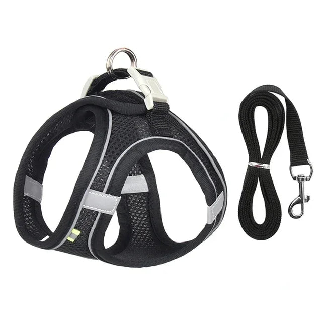 Adjustable Pet Cat Harness Leash Set - Katokitten