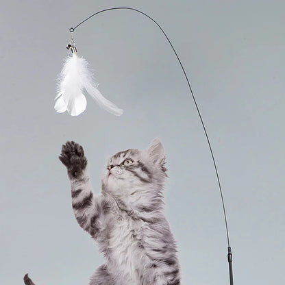 Interactive Super Suction Cup Detachable Kitten Cat Toys - Katokitten