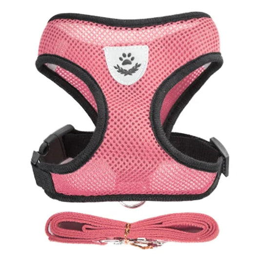 Pet Cat Harness Vest Walking Lead Leash - Katokitten