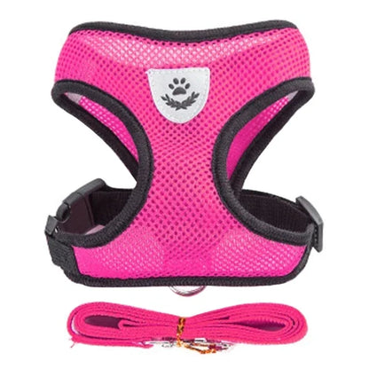 Pet Cat Harness Vest Walking Lead Leash - Katokitten