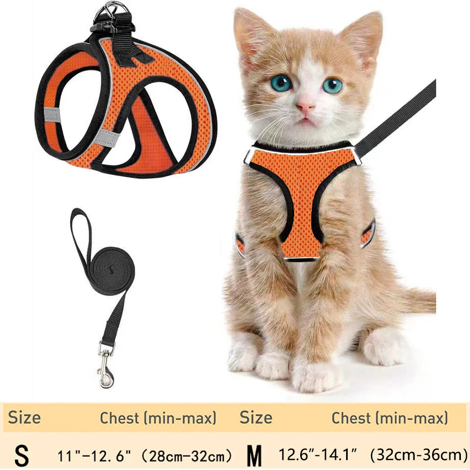 Pet Cat Harness and Leash Adjustable - Katokitten
