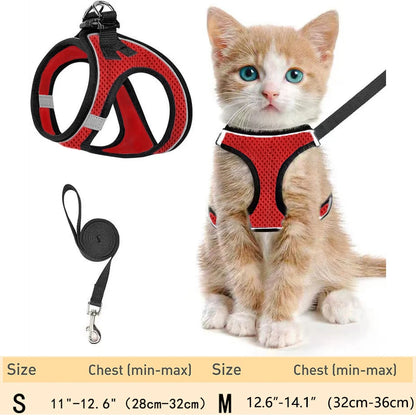 Pet Cat Harness and Leash Adjustable - Katokitten