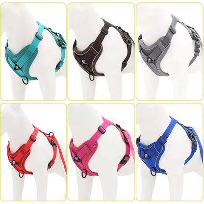 Pet Cat Harness and Leash Set Escape Proof - Katokitten