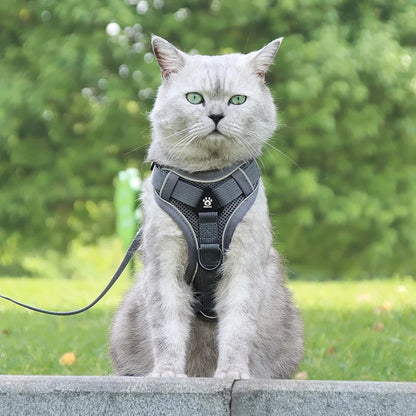 Pet Cat Harness and Leash Set Escape Proof - Katokitten